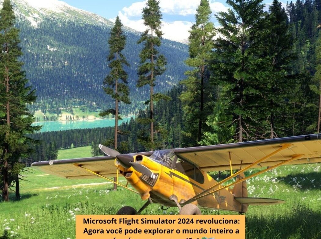 Microsoft Flight Simulator 2024